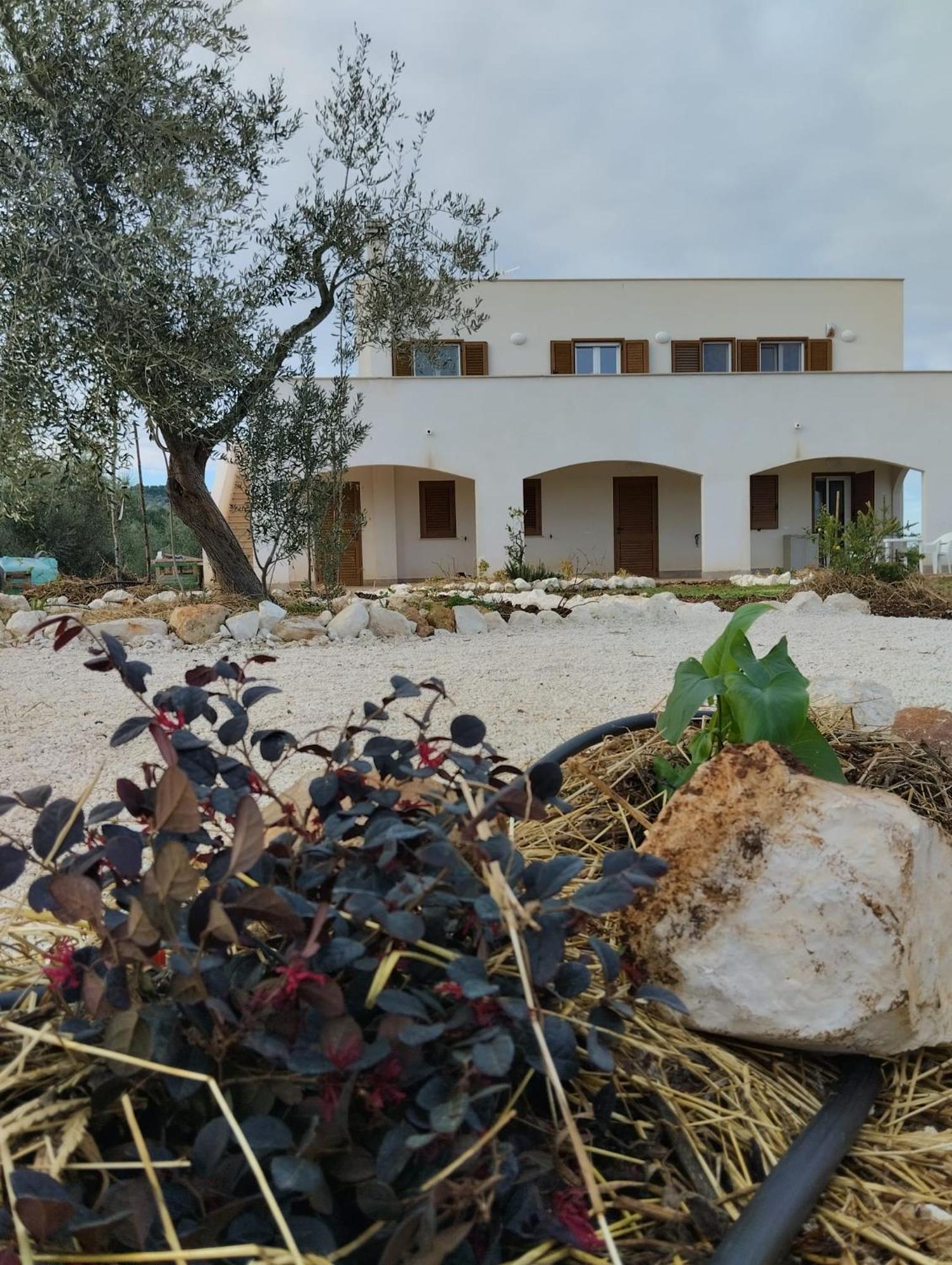 Apartamento Borgo Rosoli *